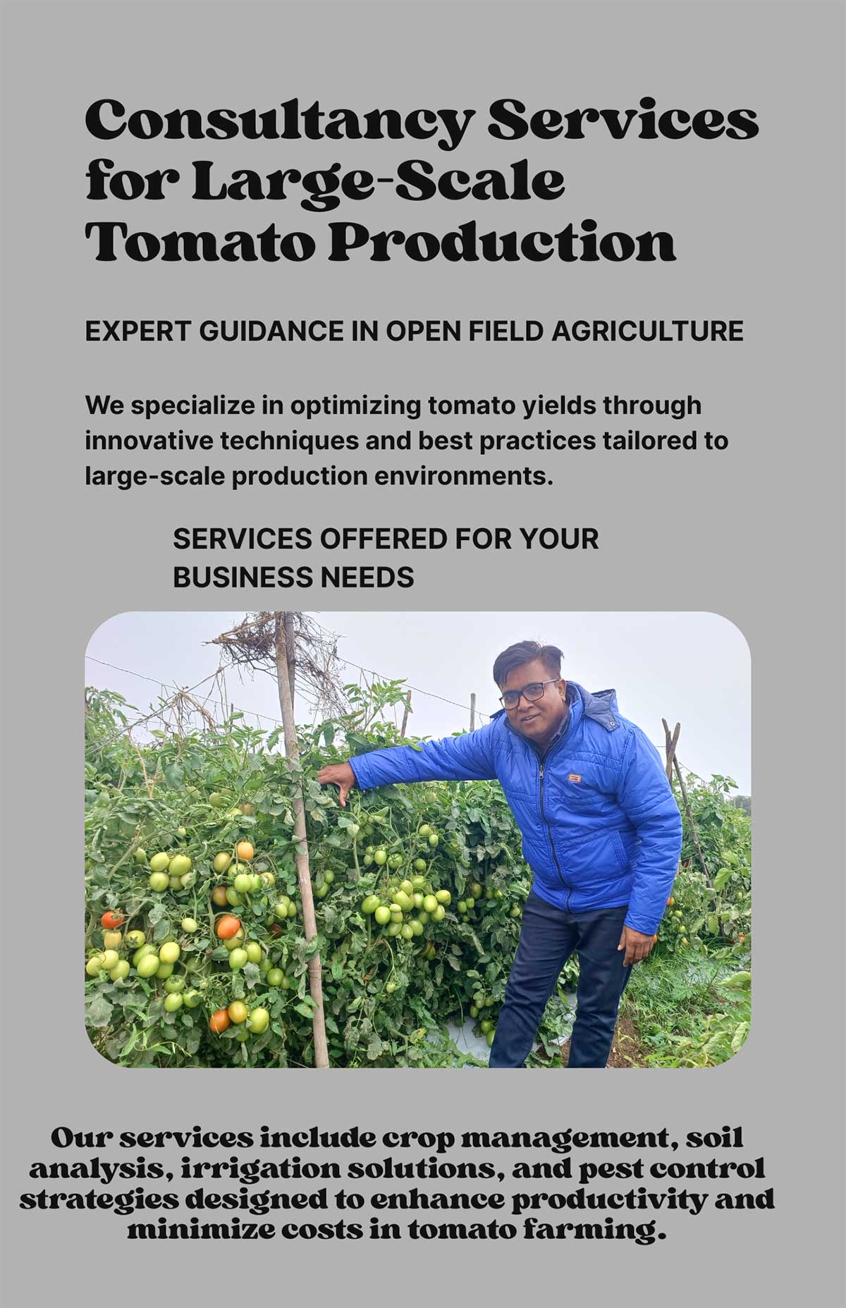 Flyer---Consultancy-Services-for-Large-Scale-Tomato-Production