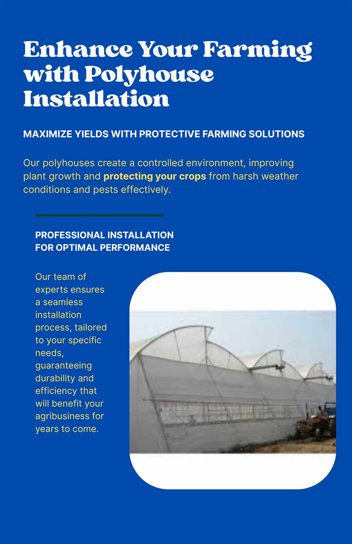 Flyer---Enhance-Your-Farming-with-Polyhouse-Installation-(1)