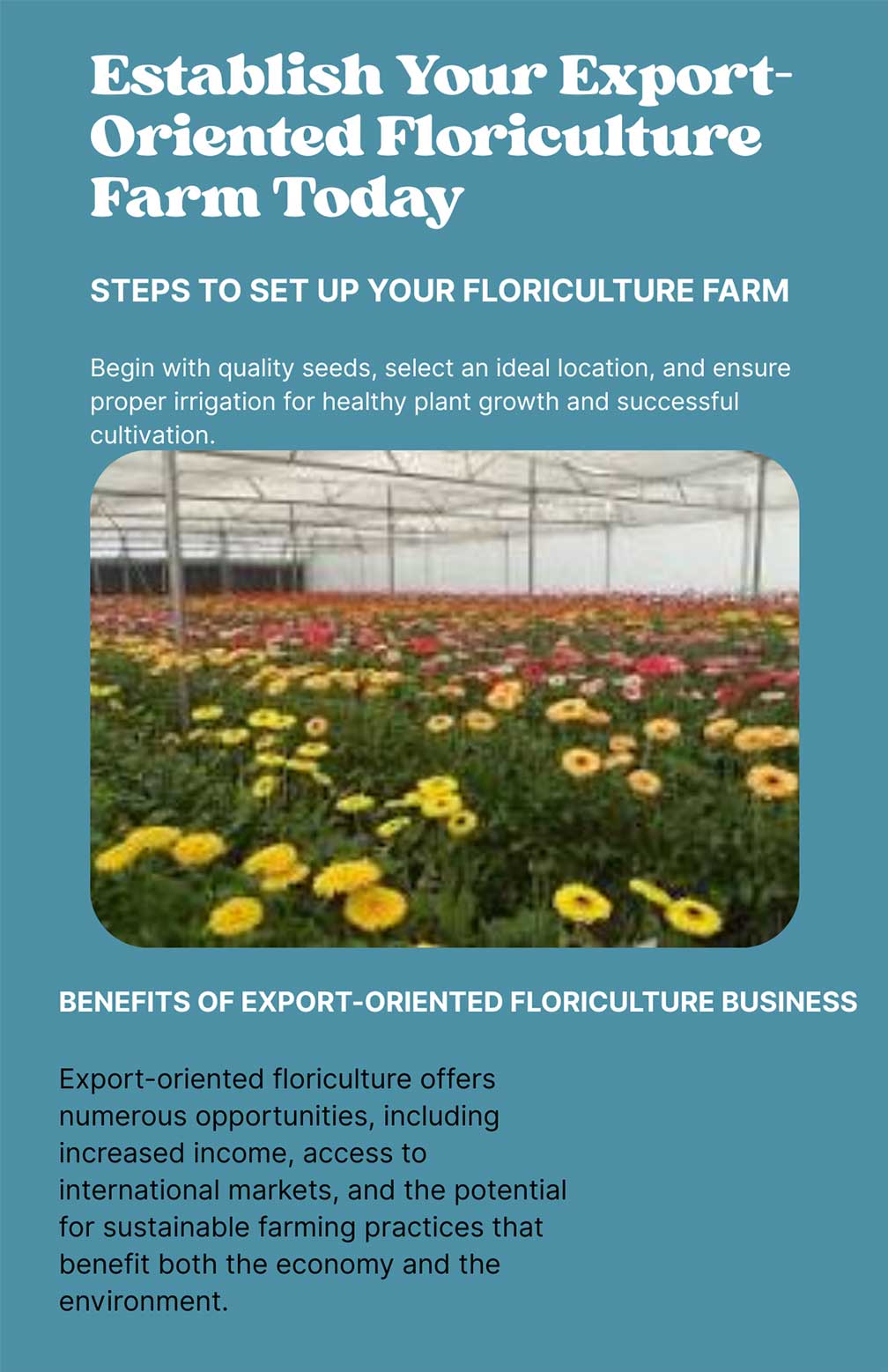 Flyer---Establish-Your-Export-Oriented-Floriculture-Farm-Today-(1)