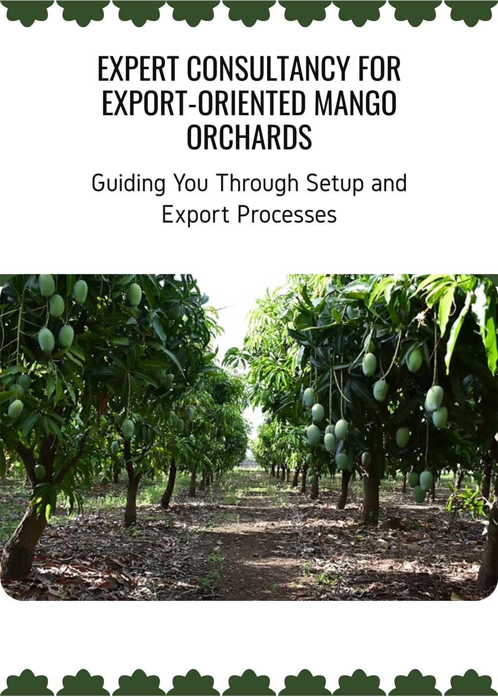 Flyer---Expert-Consultancy-for-Export-Oriented-Mango-Orchards