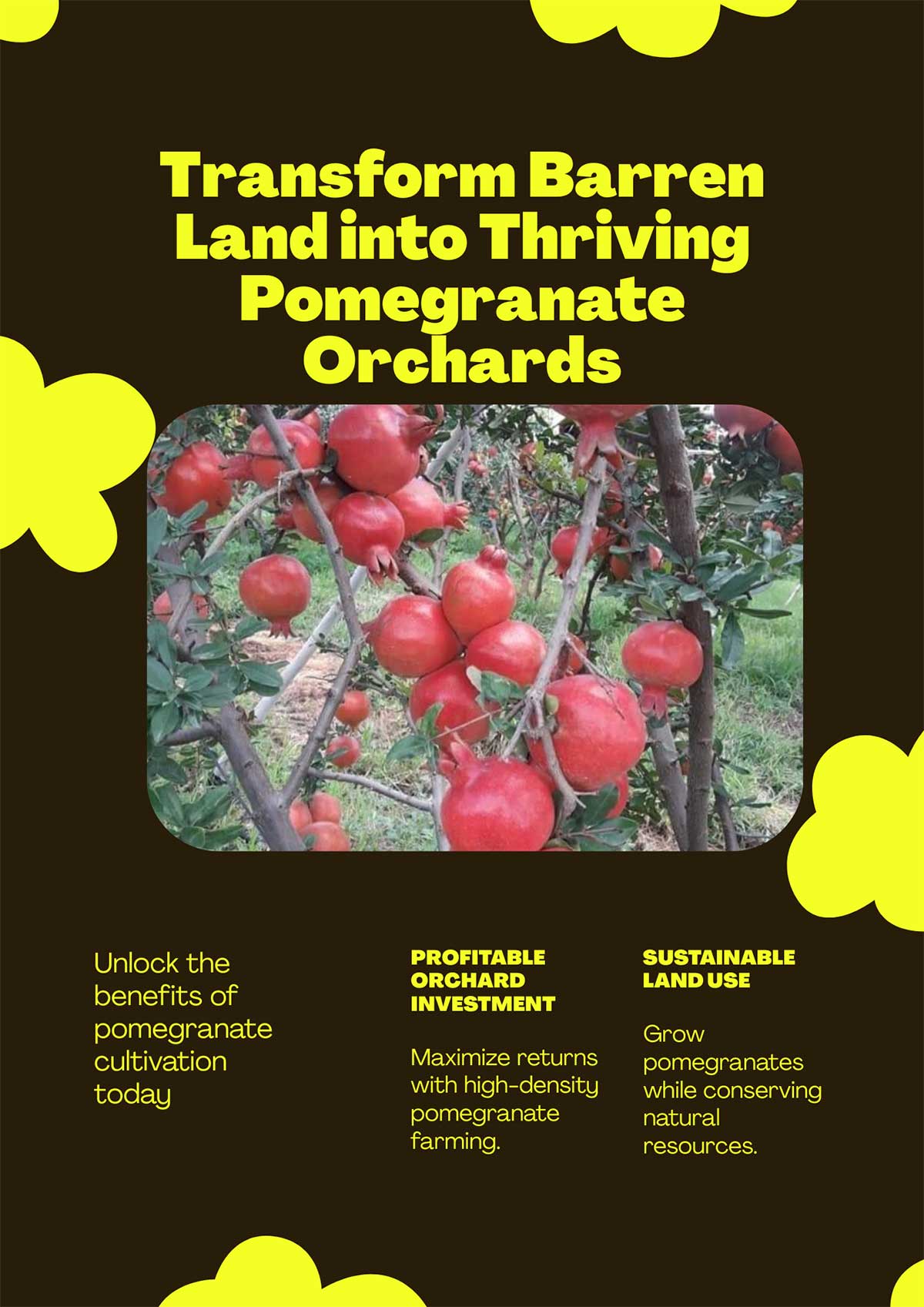Flyer---Transform-Barren-Land-into-Thriving-Pomegranate-Orchards