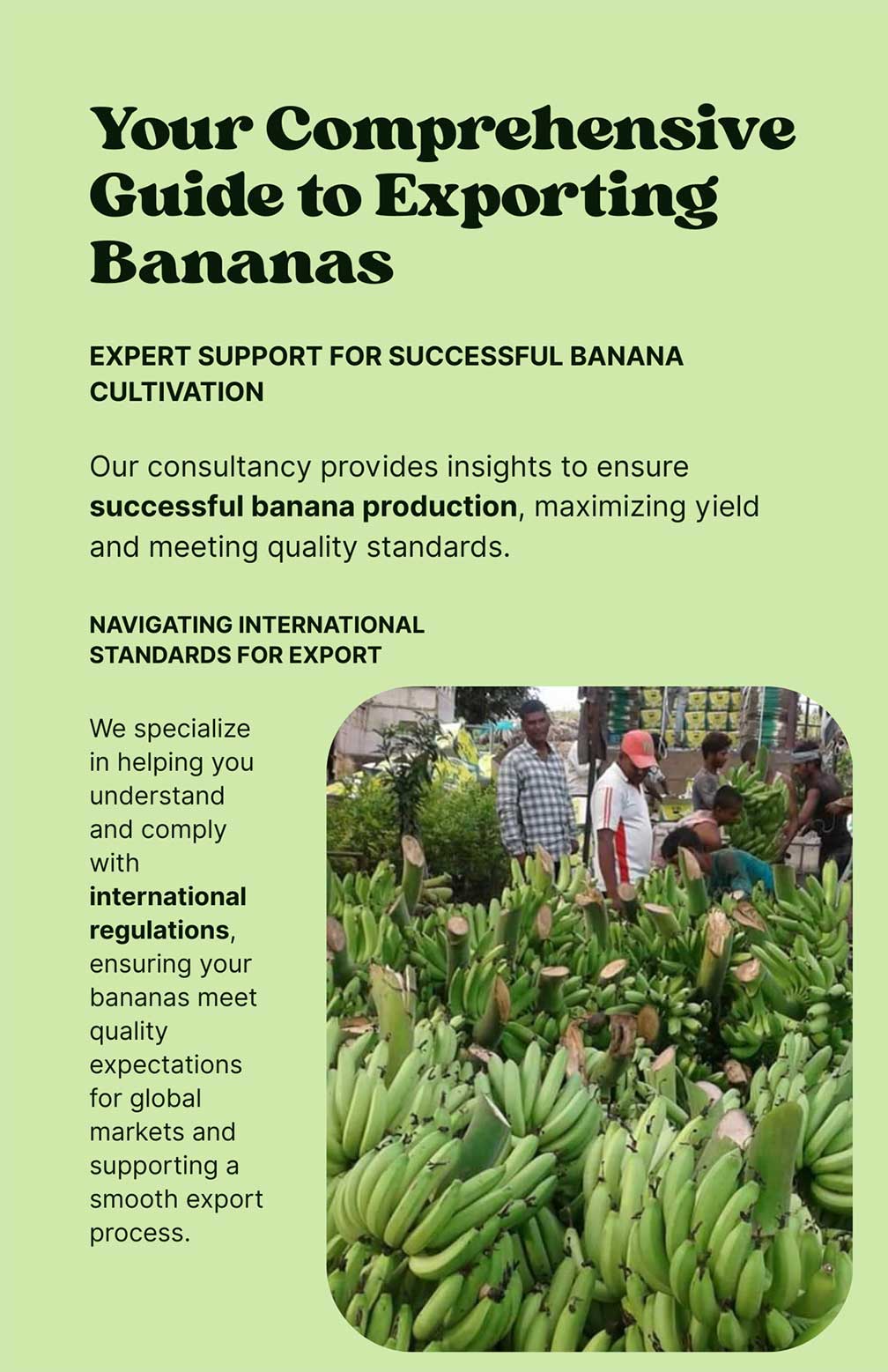 Flyer---Your-Comprehensive-Guide-to-Exporting-Bananas