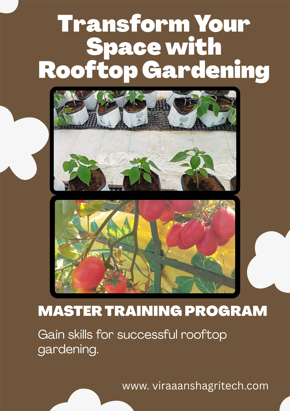 Transform-Your-Space-with-Rooftop-Gardening