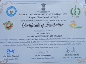 Incubated startup Company